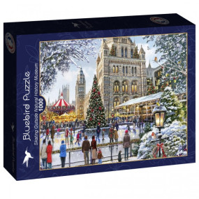 Puzzle 1000 pieces Skating Outside Natural History Museum