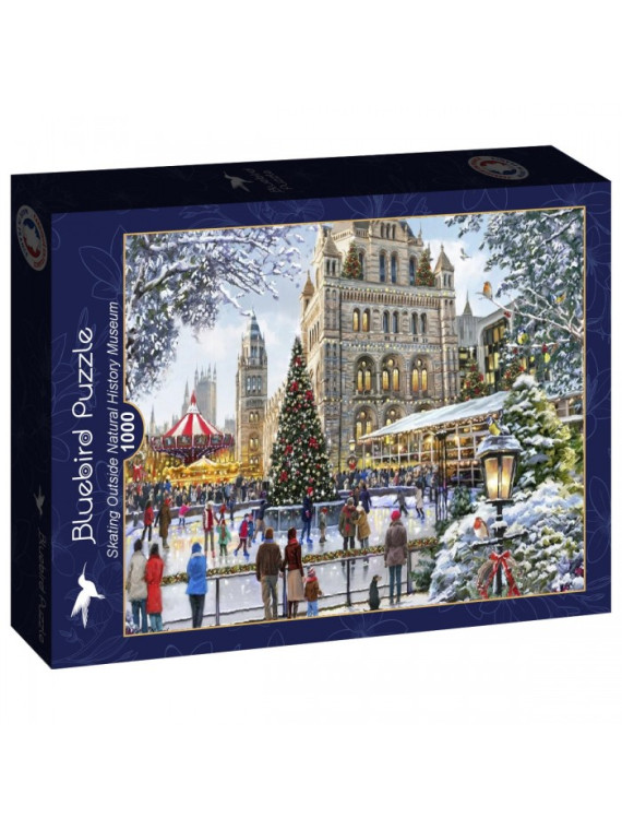 Puzzle 1000 pieces Skating Outside Natural History Museum