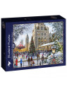 Puzzle 1000 pieces Skating Outside Natural History Museum