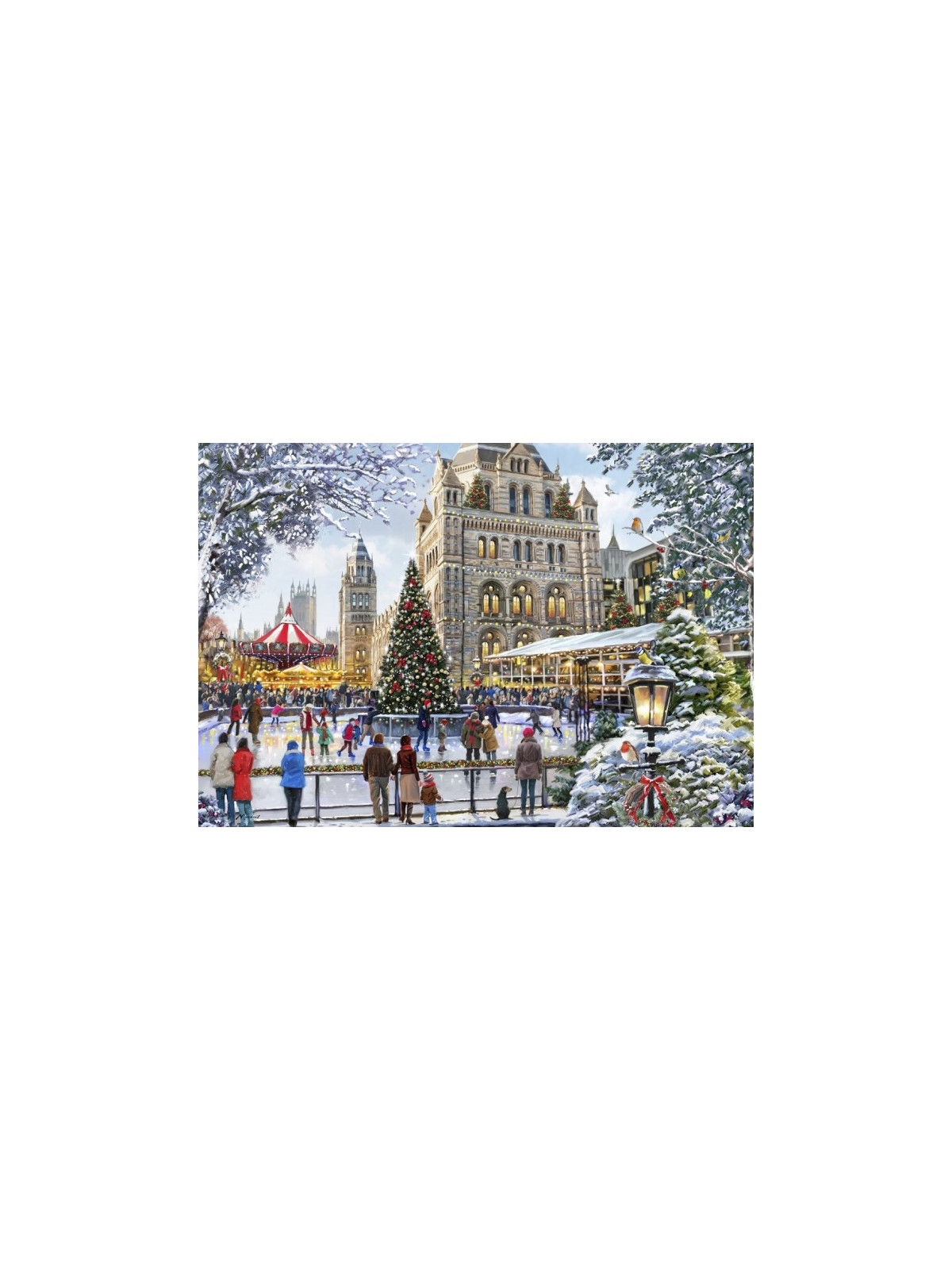 Puzzle 1000 pieces Skating Outside Natural History Museum