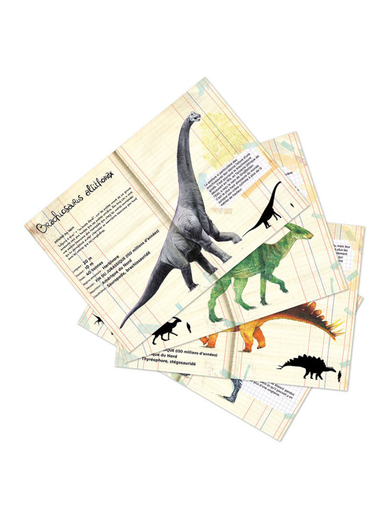 Set de 21 magnets dinosaures - Muséum national d'Histoire