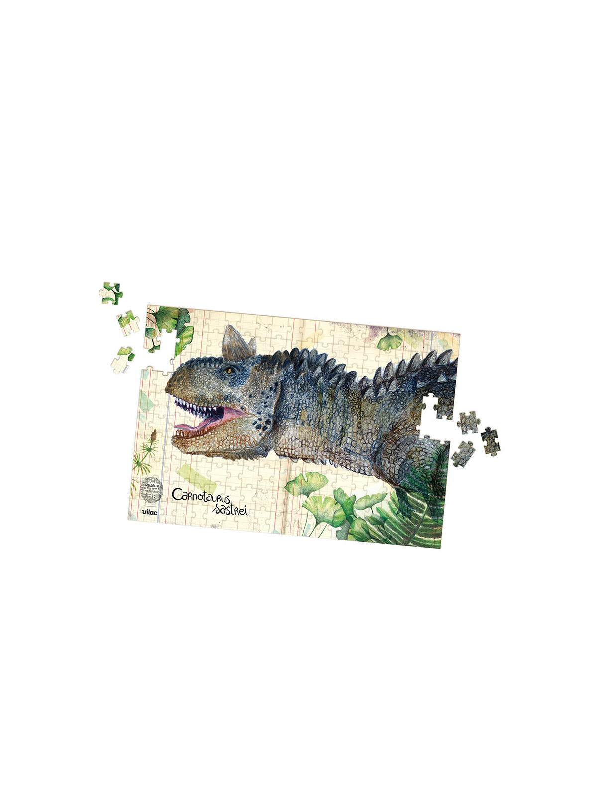 Coffret de 3 puzzles dinosaures avec posters