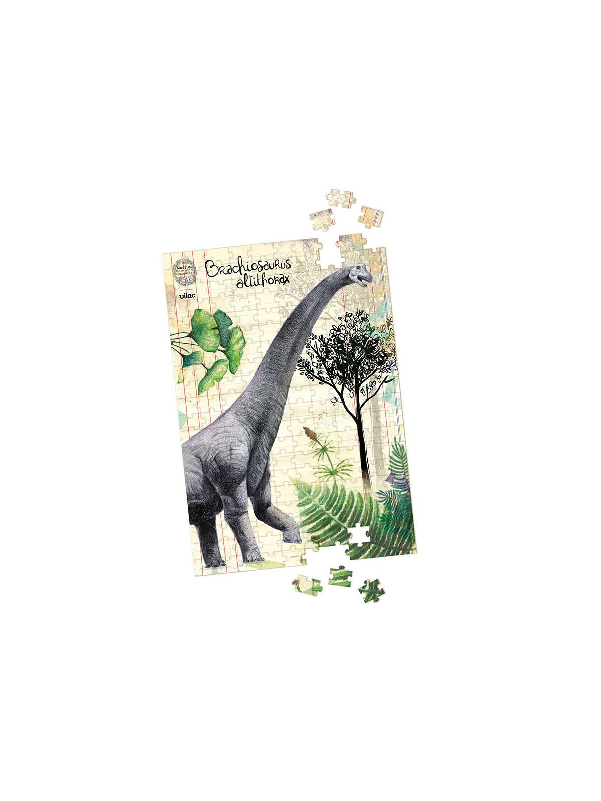 Coffret de 3 puzzles dinosaures avec posters