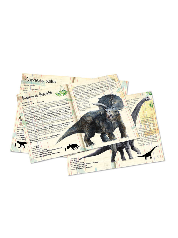 Coffret de 3 puzzles dinosaures avec posters