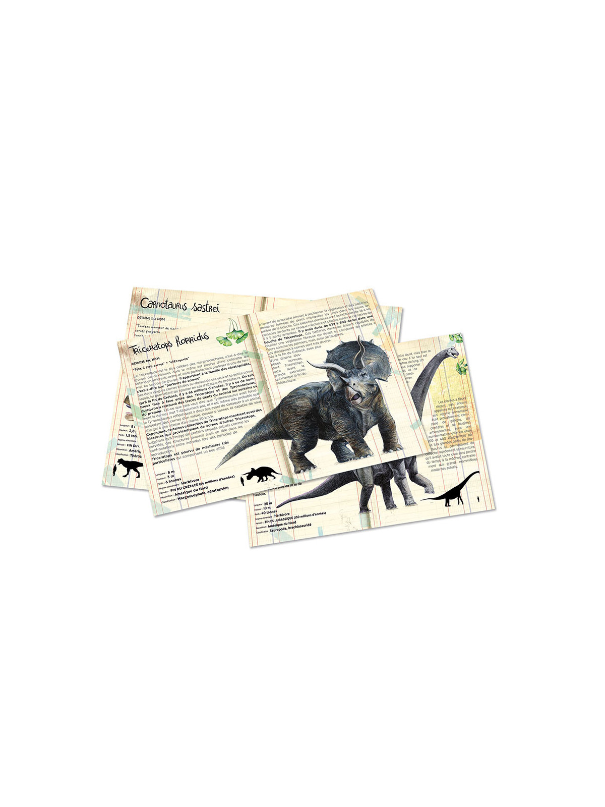 Coffret de 3 puzzles dinosaures avec posters