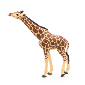 Girafe tête levée - PAPO - 50236