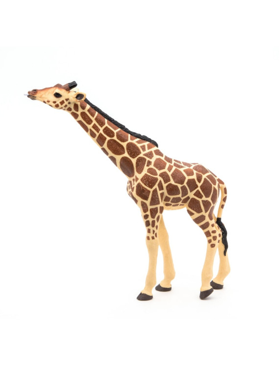 Girafe tête levée - PAPO - 50236