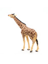 Girafe tête levée - PAPO - 50236