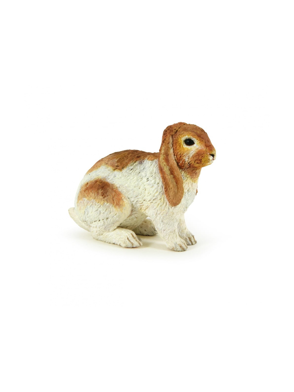 Lapin bélier